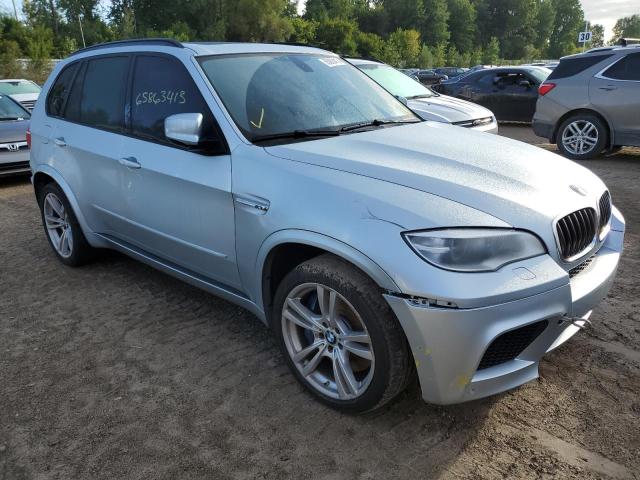 Photo 3 VIN: 5YMGY0C58DLL15641 - BMW X5 M 