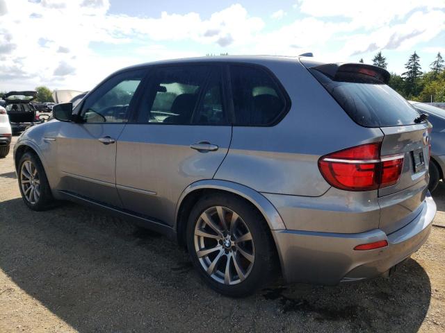 Photo 1 VIN: 5YMGY0C5XD0C11995 - BMW X5 M 