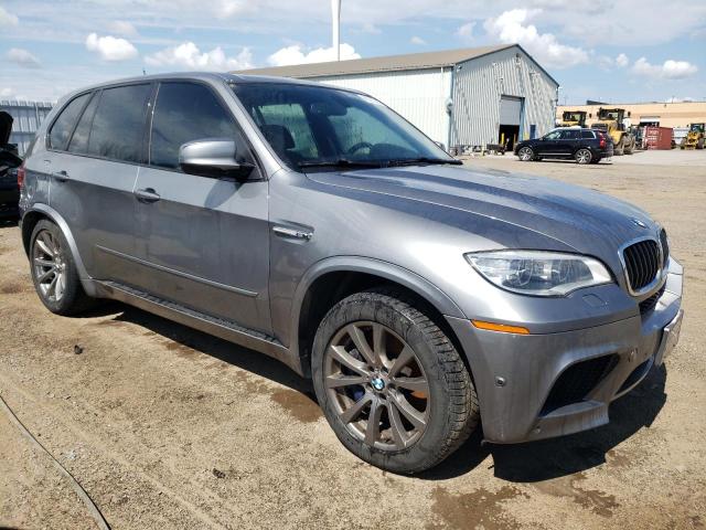 Photo 3 VIN: 5YMGY0C5XD0C11995 - BMW X5 M 