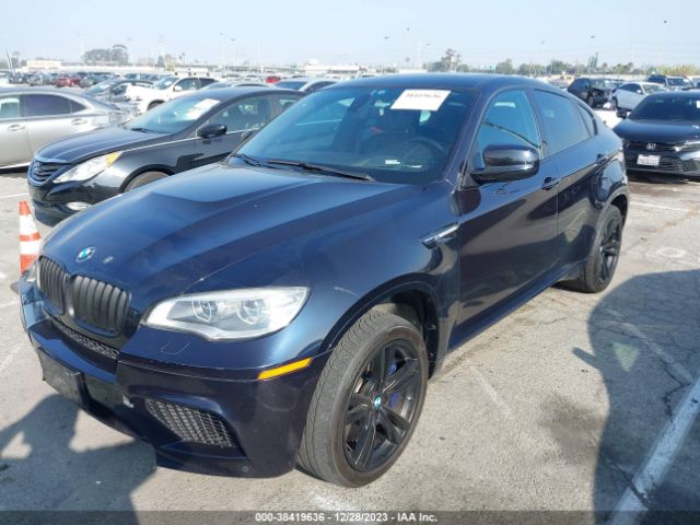 Photo 1 VIN: 5YMGZ0C50D0C40158 - BMW X6 M 