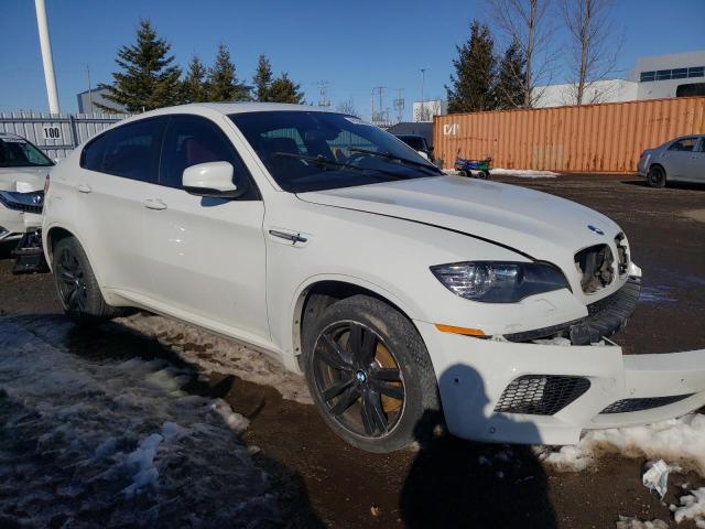 Photo 3 VIN: 5YMGZ0C52CLK14543 - BMW X6 M 