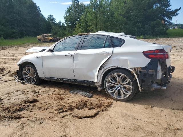 Photo 1 VIN: 5YMGZ0C52E0C40356 - BMW X6 M 