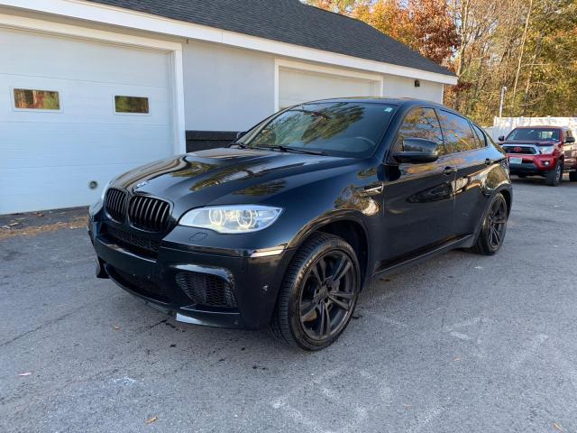 Photo 1 VIN: 5YMGZ0C53DLL30075 - BMW X6 M 