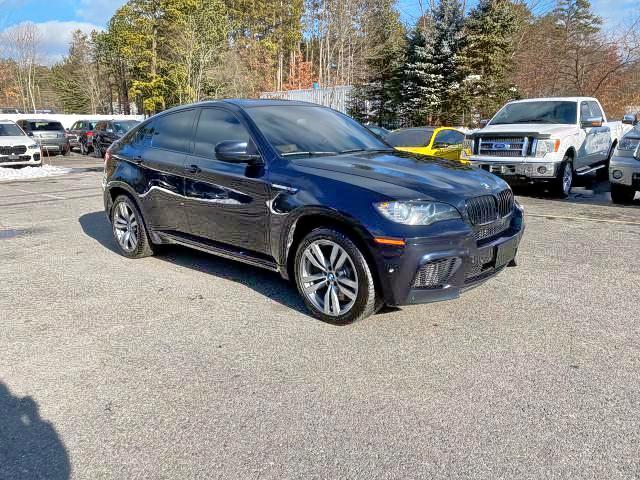 Photo 0 VIN: 5YMGZ0C54BLK14199 - BMW X6 M 