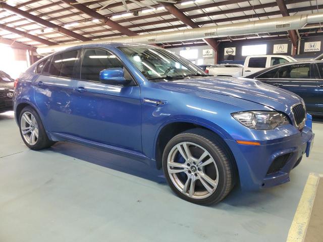 Photo 3 VIN: 5YMGZ0C54E0C40522 - BMW X6 M 