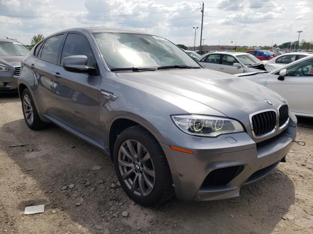 Photo 0 VIN: 5YMGZ0C54E0C40777 - BMW X6 M 