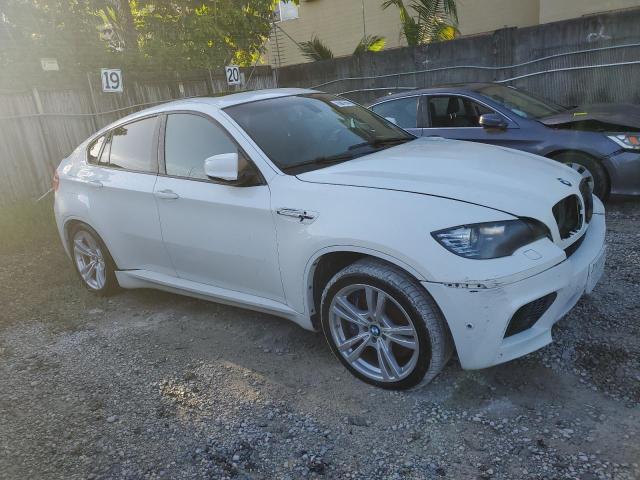 Photo 3 VIN: 5YMGZ0C55DLL29980 - BMW X6 M 