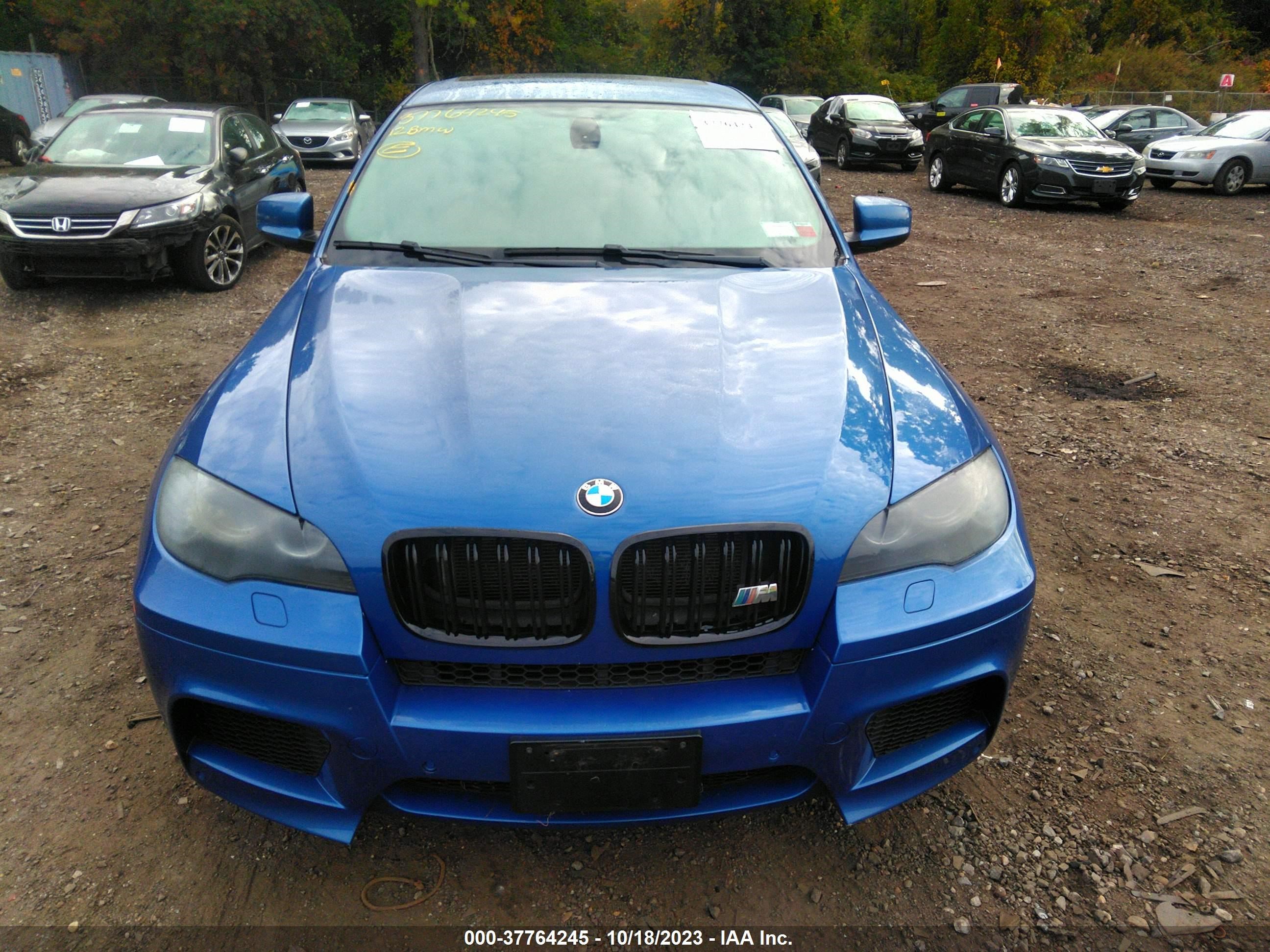 Photo 5 VIN: 5YMGZ0C56CLL29601 - BMW X6 M 