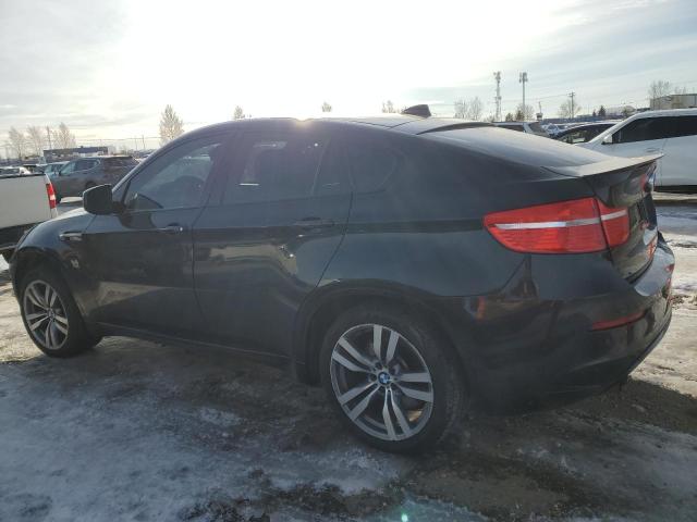 Photo 1 VIN: 5YMGZ0C57ALK13322 - BMW X6 M 