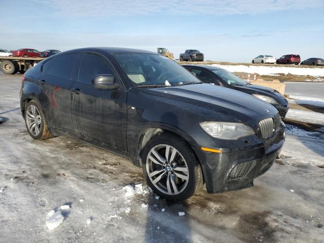 Photo 3 VIN: 5YMGZ0C57ALK13322 - BMW X6 M 