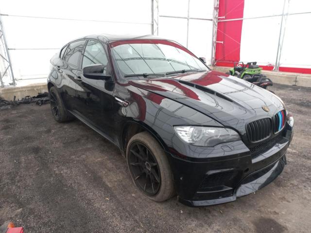 Photo 0 VIN: 5YMGZ0C57CLK14599 - BMW X6 