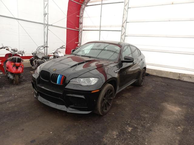 Photo 1 VIN: 5YMGZ0C57CLK14599 - BMW X6 