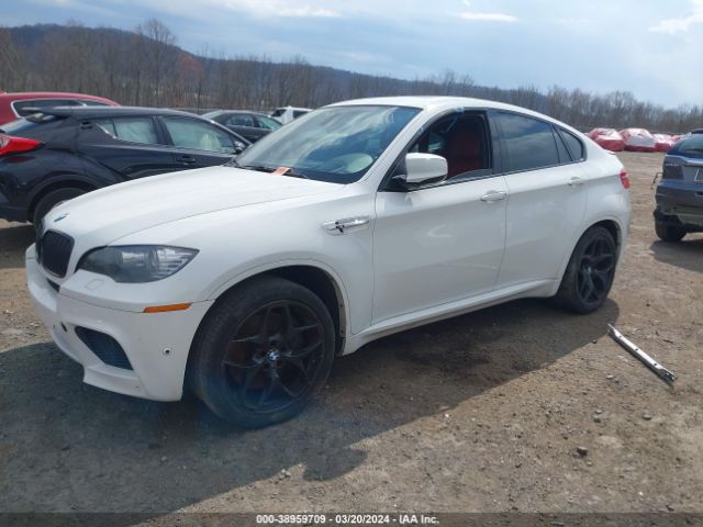 Photo 1 VIN: 5YMGZ0C57CLL29588 - BMW X6 M 