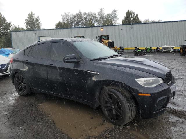 Photo 3 VIN: 5YMGZ0C57DLL29818 - BMW X6 M 