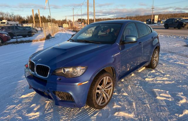 Photo 1 VIN: 5YMGZ0C57DLL29849 - BMW X6 M 