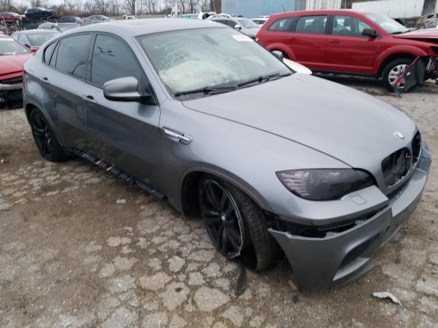 Photo 0 VIN: 5YMGZ0C59ALK13631 - BMW X6 M 