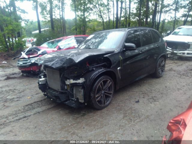 Photo 1 VIN: 5YMKT6C31H0U39199 - BMW X5 M 