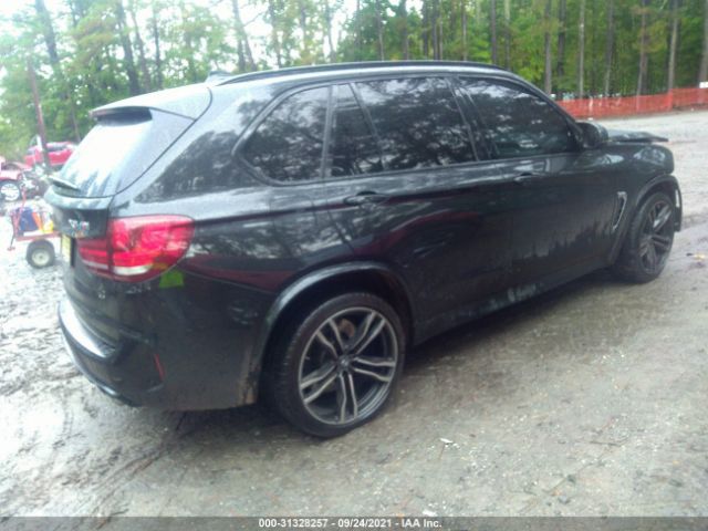 Photo 3 VIN: 5YMKT6C31H0U39199 - BMW X5 M 