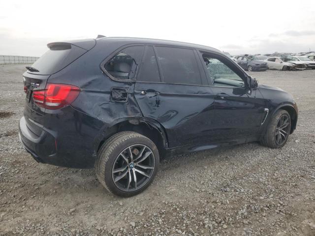 Photo 2 VIN: 5YMKT6C32H0X20458 - BMW X5 M 