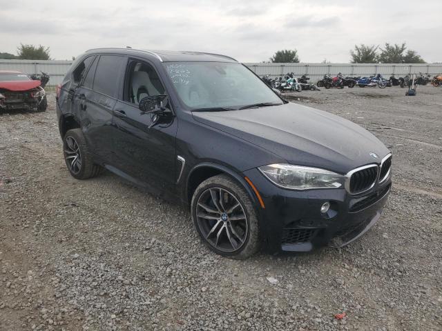 Photo 3 VIN: 5YMKT6C32H0X20458 - BMW X5 M 