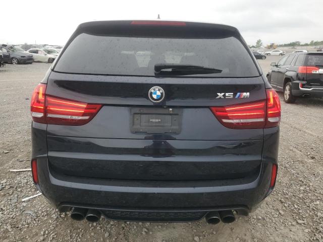 Photo 5 VIN: 5YMKT6C32H0X20458 - BMW X5 M 