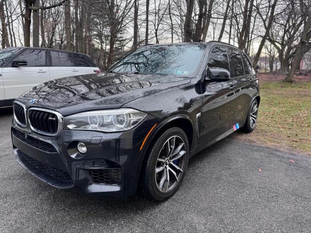 Photo 1 VIN: 5YMKT6C35H0X20731 - BMW X5 