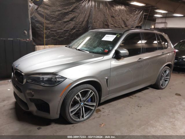 Photo 1 VIN: 5YMKT6C36H0U39389 - BMW X5 M 