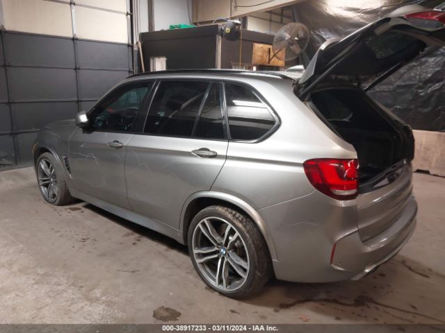 Photo 2 VIN: 5YMKT6C36H0U39389 - BMW X5 M 