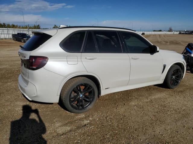 Photo 2 VIN: 5YMKT6C39H0U39340 - BMW X5 M 