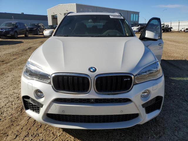 Photo 4 VIN: 5YMKT6C39H0U39340 - BMW X5 M 