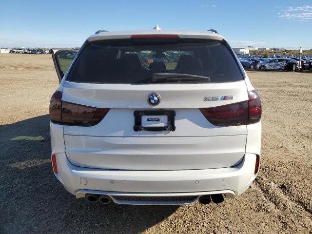 Photo 5 VIN: 5YMKT6C39H0U39340 - BMW X5 M 