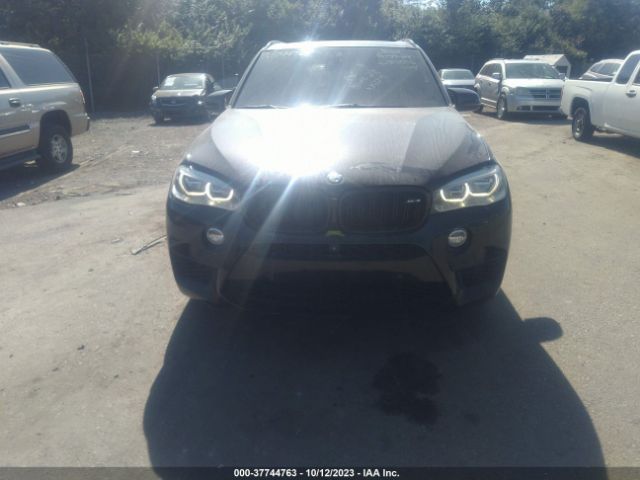 Photo 5 VIN: 5YMKT6C50F0C89006 - BMW X5 M 