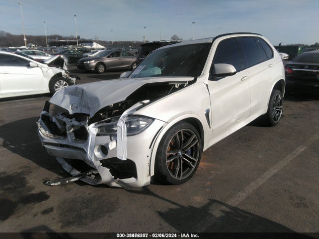 Photo 1 VIN: 5YMKT6C50F0C89314 - BMW X5 M 