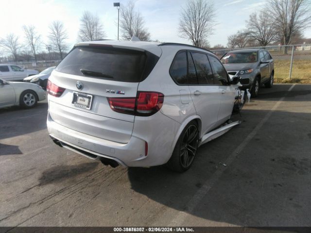 Photo 3 VIN: 5YMKT6C50F0C89314 - BMW X5 M 