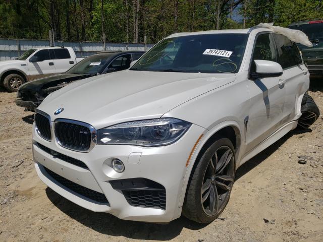 Photo 1 VIN: 5YMKT6C50F0C89507 - BMW X5 M 