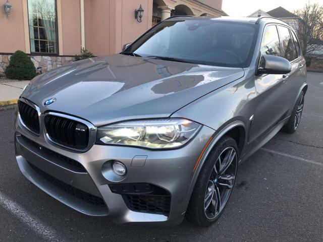 Photo 1 VIN: 5YMKT6C50H0U38787 - BMW X5 M 