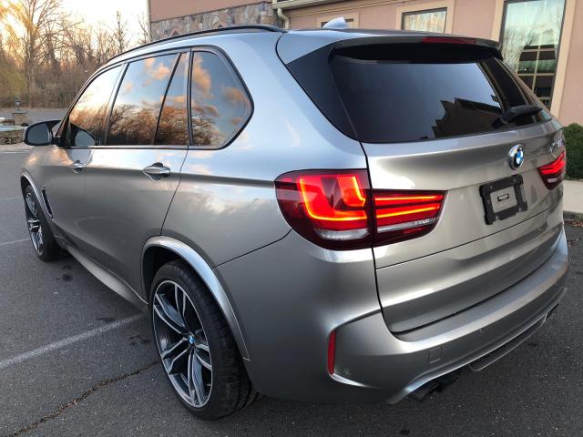 Photo 5 VIN: 5YMKT6C50H0U38787 - BMW X5 M 