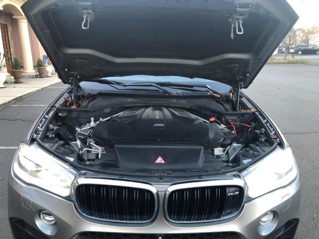 Photo 7 VIN: 5YMKT6C50H0U38787 - BMW X5 M 