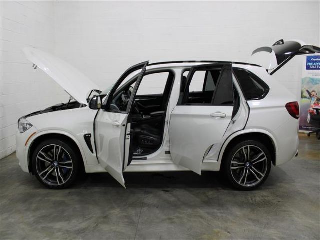 Photo 6 VIN: 5YMKT6C51F0C89029 - BMW X5 