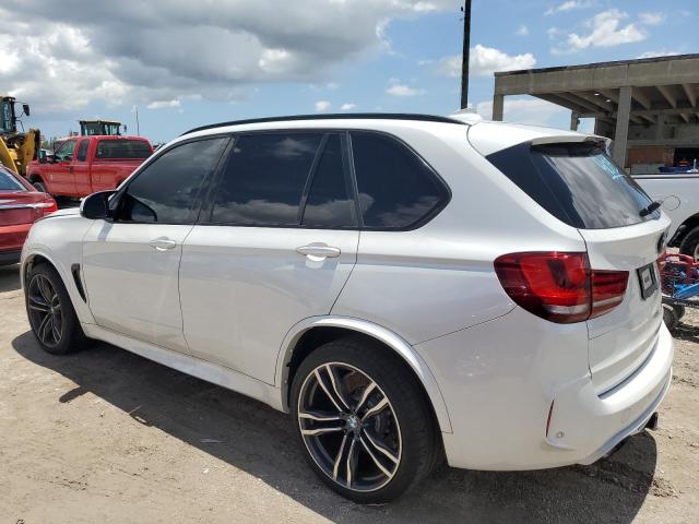 Photo 1 VIN: 5YMKT6C51G0R79037 - BMW X5 M 