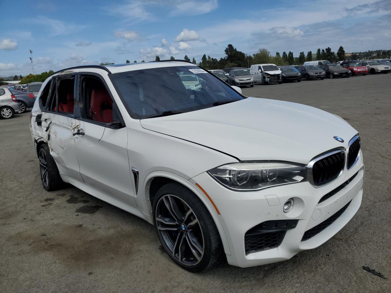 Photo 3 VIN: 5YMKT6C51H0U38832 - BMW X5 