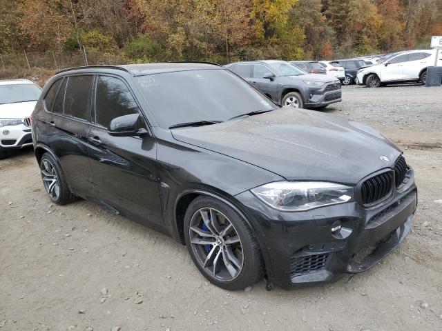 Photo 3 VIN: 5YMKT6C51J0Y83383 - BMW X5 M 