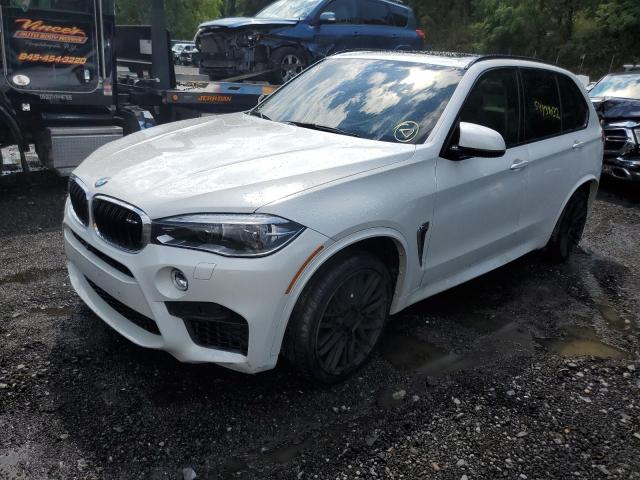 Photo 1 VIN: 5YMKT6C52F0C89413 - BMW X5 M 