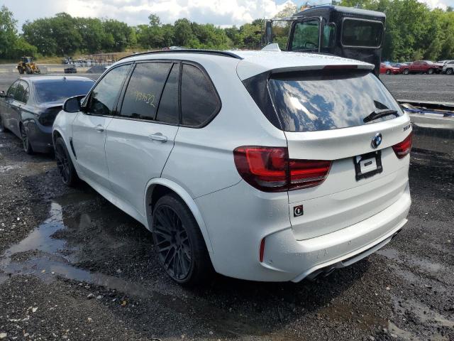 Photo 2 VIN: 5YMKT6C52F0C89413 - BMW X5 M 