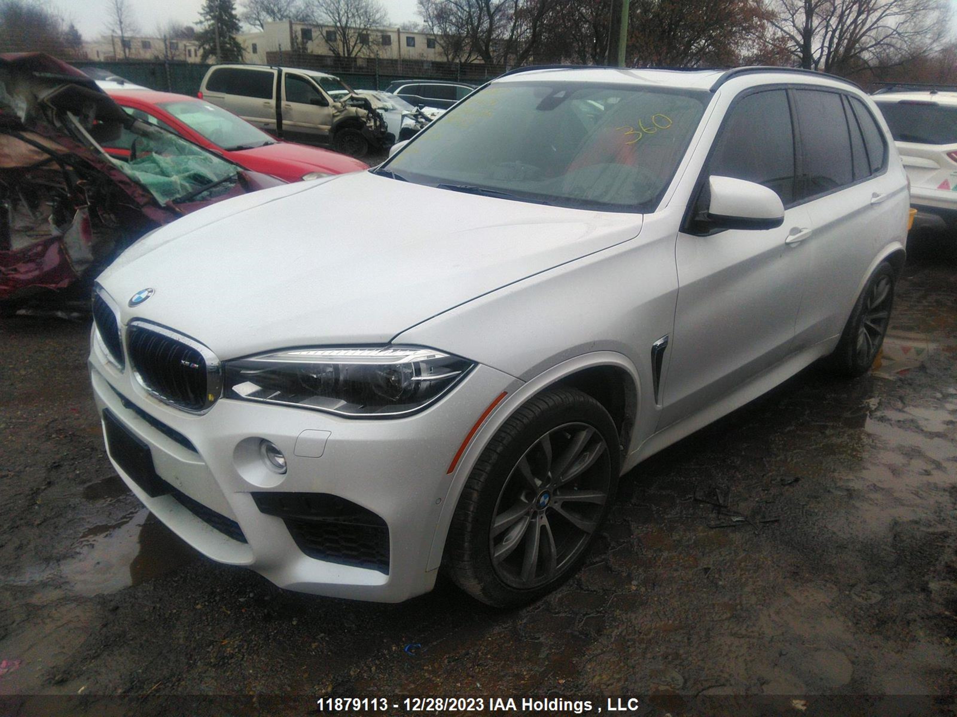 Photo 1 VIN: 5YMKT6C52J0Y85353 - BMW X5 M 