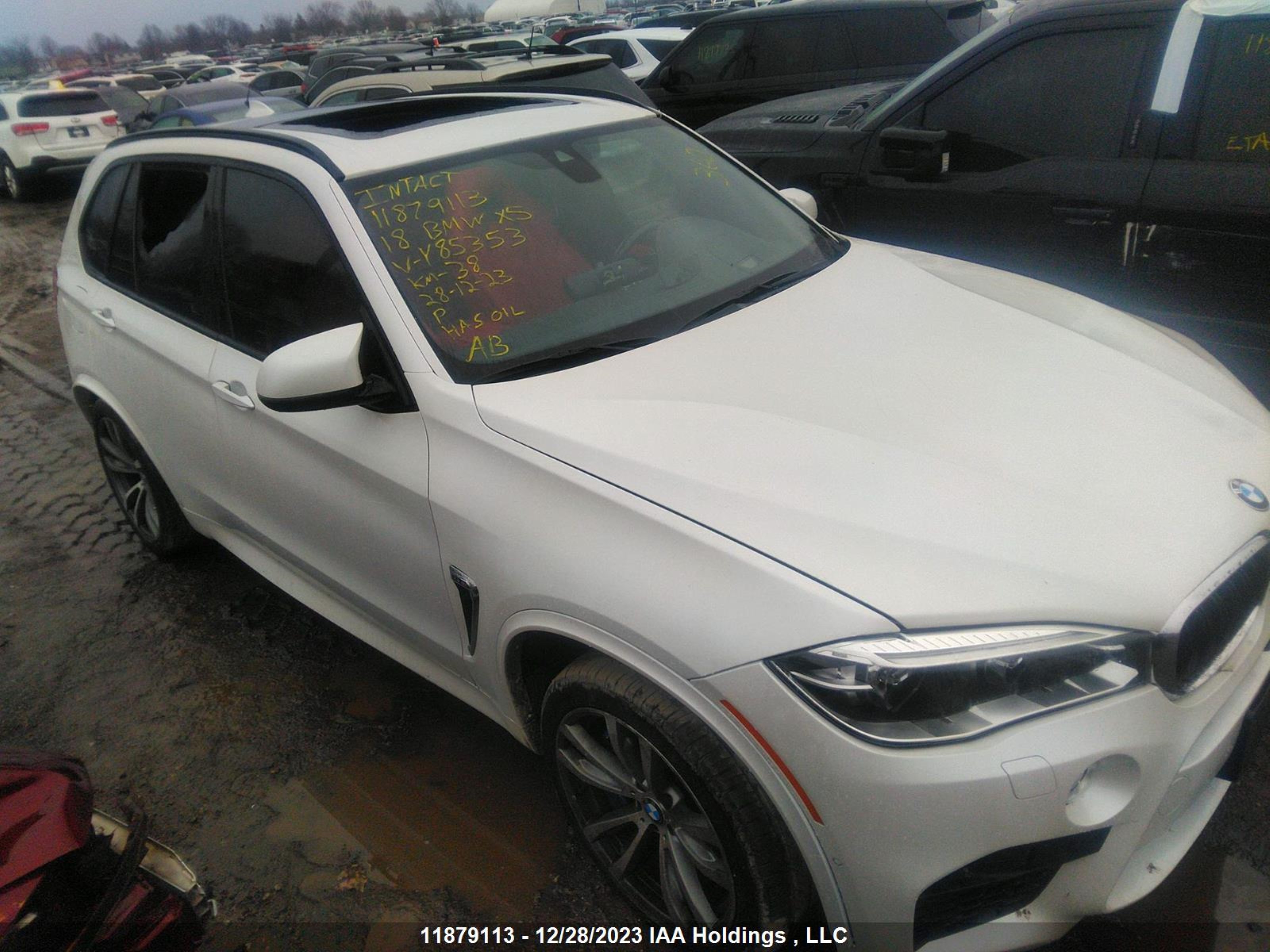 Photo 5 VIN: 5YMKT6C52J0Y85353 - BMW X5 M 