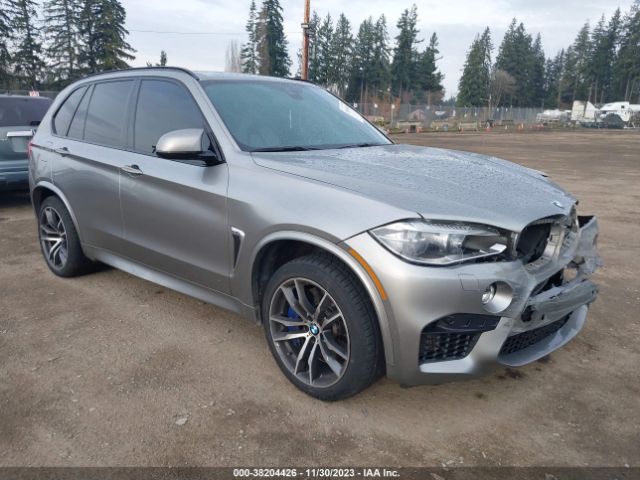 Photo 0 VIN: 5YMKT6C53G0R77810 - BMW X5 M 