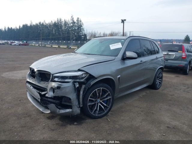 Photo 1 VIN: 5YMKT6C53G0R77810 - BMW X5 M 