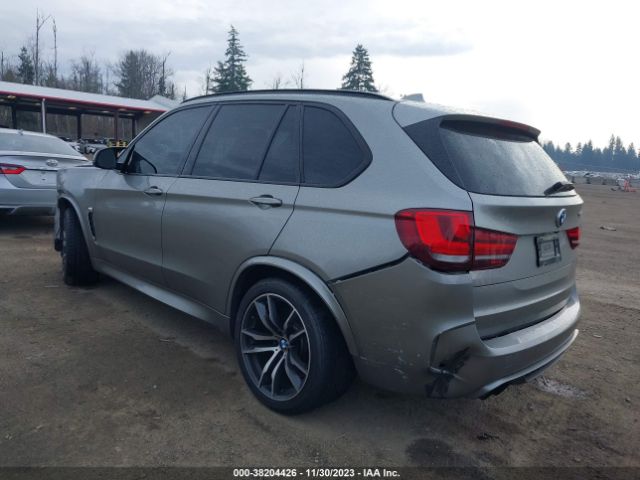 Photo 2 VIN: 5YMKT6C53G0R77810 - BMW X5 M 