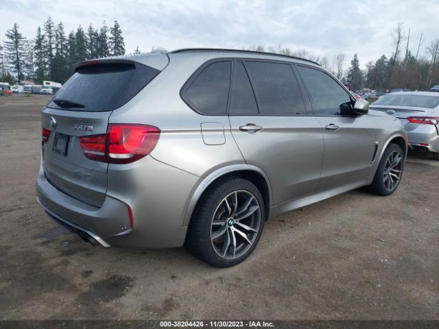 Photo 3 VIN: 5YMKT6C53G0R77810 - BMW X5 M 